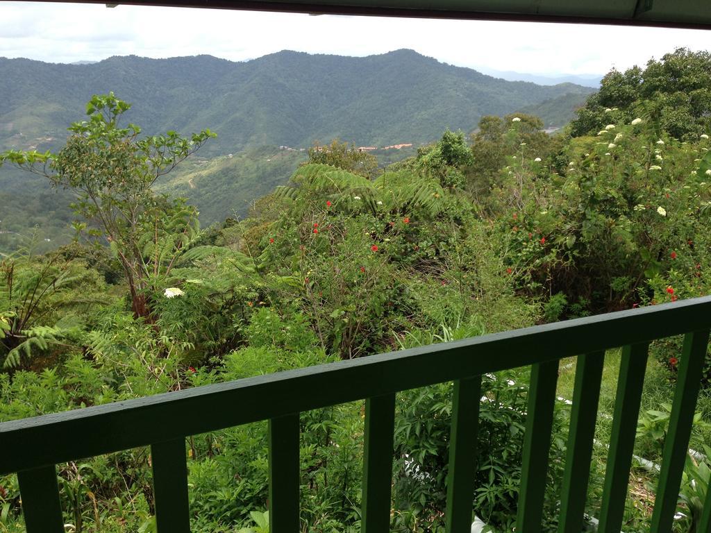 D'Villa Rina Ria Lodge, Kinabalu Park, Kundasang Bundu Tuhan Zewnętrze zdjęcie
