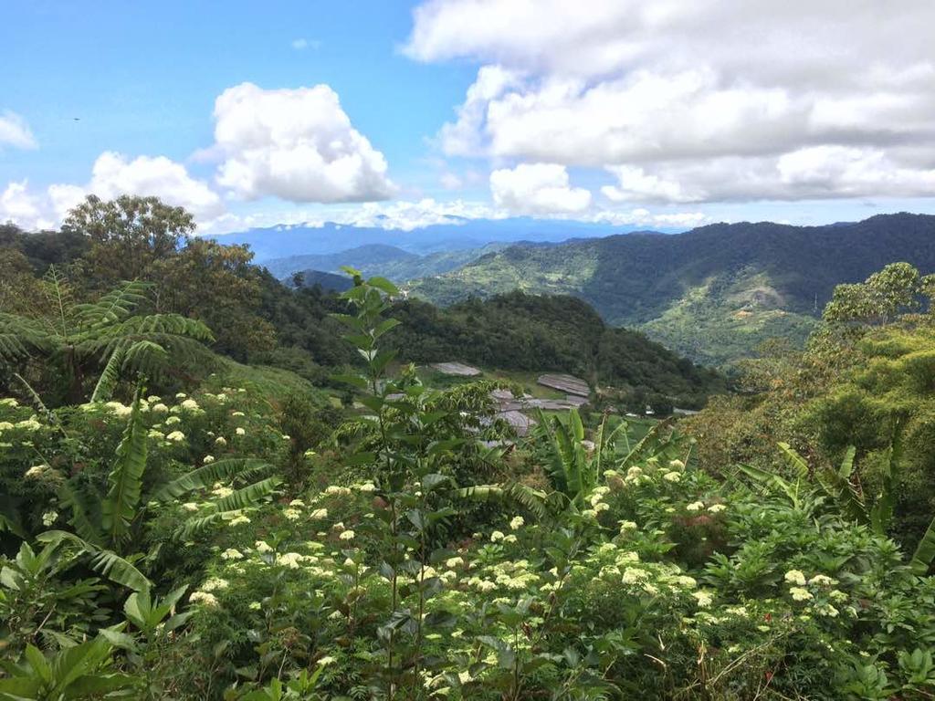 D'Villa Rina Ria Lodge, Kinabalu Park, Kundasang Bundu Tuhan Zewnętrze zdjęcie